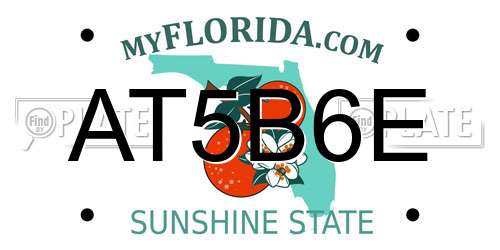 AT5B6E Florida License Plate