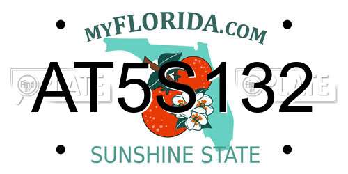 AT5S132 Florida License Plate