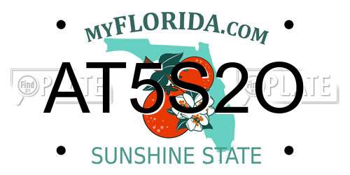 AT5S2O Florida License Plate
