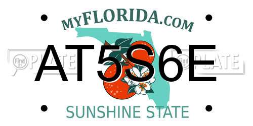 AT5S6E Florida License Plate