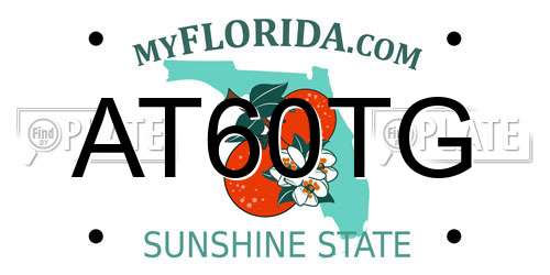 AT60TG Florida License Plate