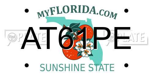 AT61PE Florida License Plate