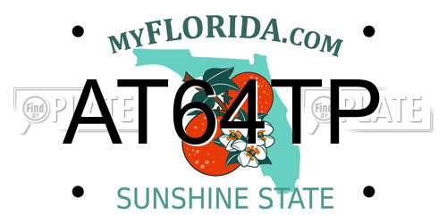 AT64TP Florida License Plate