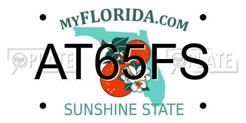 AT65FS Florida License Plate