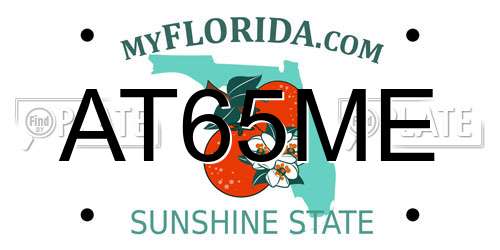 AT65ME Florida License Plate