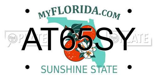 AT65SY Florida License Plate