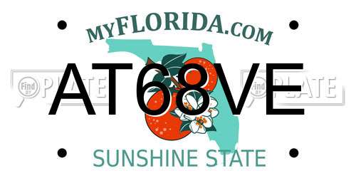 AT68VE Florida License Plate
