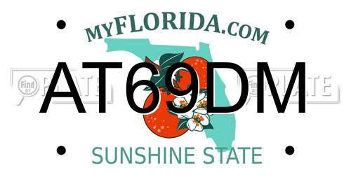 AT69DM Florida License Plate