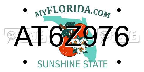 AT6Z976 Florida License Plate
