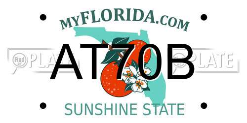 AT70B Florida License Plate