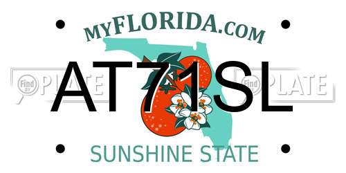 AT71SL Florida License Plate