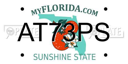 AT73PS Florida License Plate