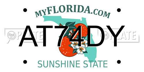 AT74DY Florida License Plate