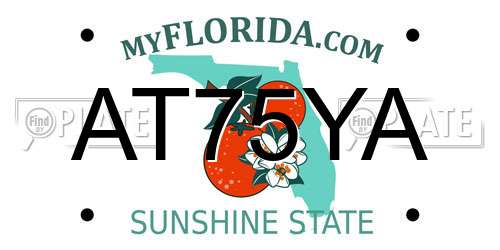 AT75YA Florida License Plate