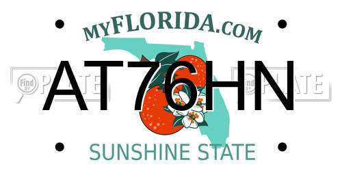 AT76HN Florida License Plate