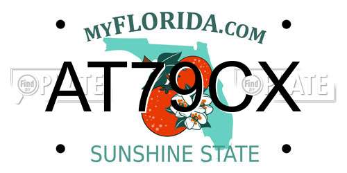 AT79CX Florida License Plate