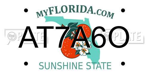 AT7A6O Florida License Plate