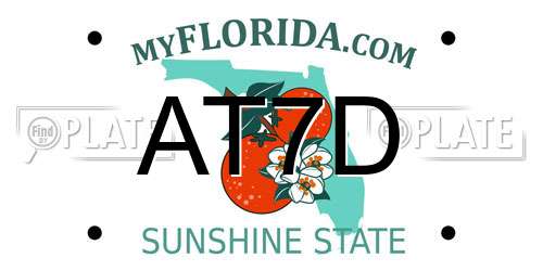 AT7D Florida License Plate
