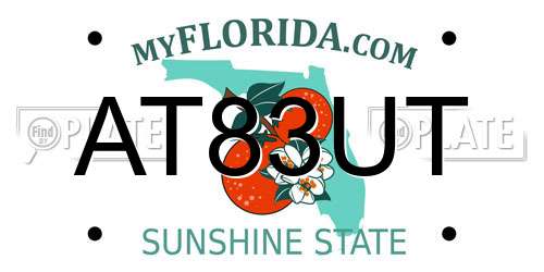 AT83UT Florida License Plate