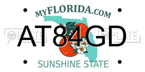 AT84GD Florida License Plate