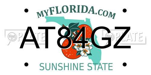 AT84GZ Florida License Plate