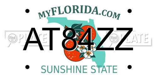 AT84ZZ Florida License Plate