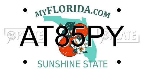 AT85PY Florida License Plate