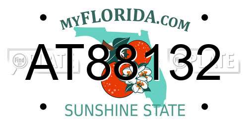 AT88132 Florida License Plate