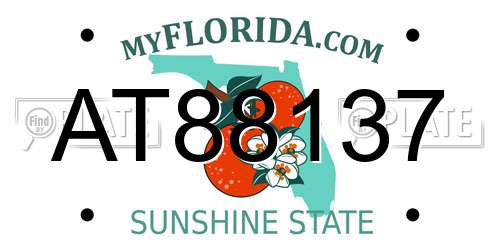 AT88137 Florida License Plate