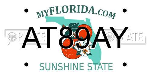 AT89AY Florida License Plate