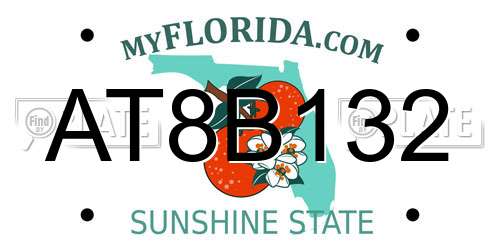 AT8B132 Florida License Plate