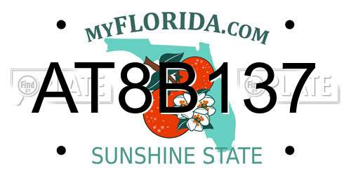 AT8B137 Florida License Plate
