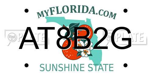 AT8B2G Florida License Plate