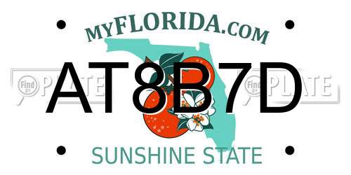 AT8B7D Florida License Plate