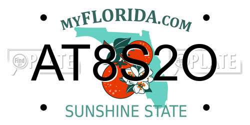 AT8S2O Florida License Plate