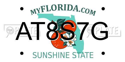 AT8S7G Florida License Plate