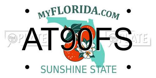 AT90FS Florida License Plate