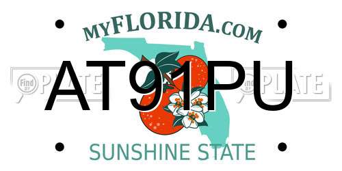 AT91PU Florida License Plate