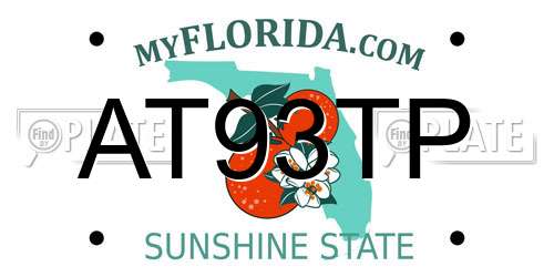 AT93TP Florida License Plate