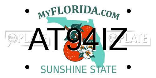 AT94IZ Florida License Plate