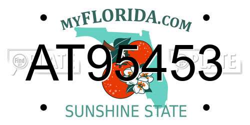 AT95453 Florida License Plate