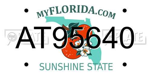 AT95640 Florida License Plate