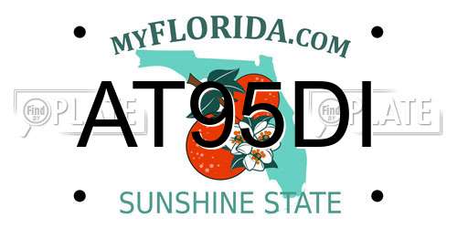 AT95DI Florida License Plate