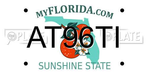 AT96TI Florida License Plate