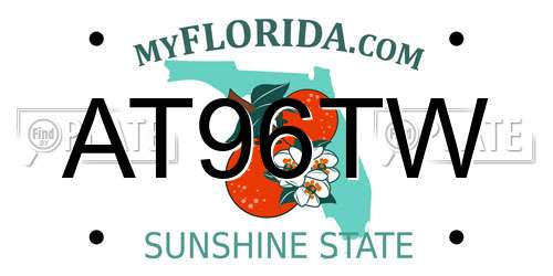 AT96TW Florida License Plate