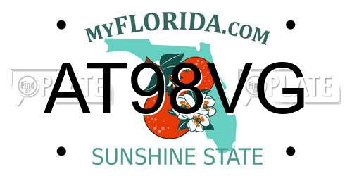 AT98VG Florida License Plate
