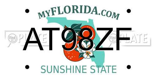 AT98ZF Florida License Plate