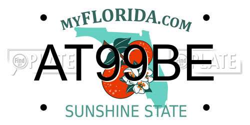 AT99BE Florida License Plate