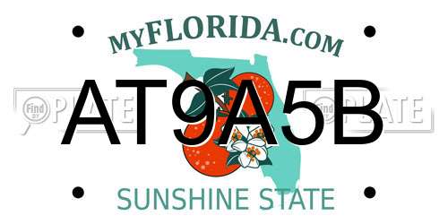 AT9A5B Florida License Plate