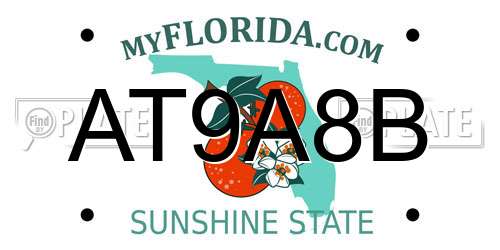 AT9A8B Florida License Plate
